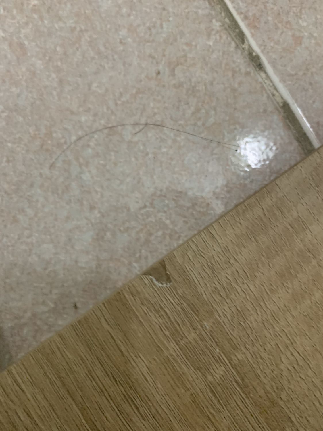 Sản phẩm toàn bong tróc góc mất mỹ quan.
Chán thật, đặt ba chỗ thì chỗ nào cũng gửi cho sản phẩm kém chất lượng. Khuyên mọi người sau mua đồ gỗ thì đặt làm việc ở những xưởng đồ gỗ còn uy tín hơn đấy. Sản phẩm toàn bong tróc góc mất mỹ quan.
Chán thật, đặt ba chỗ thì chỗ nào cũng gửi cho sản phẩm kém chất lượng. Khuyên mọi người sau mua đồ gỗ thì đặt làm việc ở những xưởng đồ gỗ còn uy tín hơn đấy.