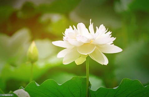 Sản phẩm rất tốt ạ
Hình ảnh k liên quan ạ 😊