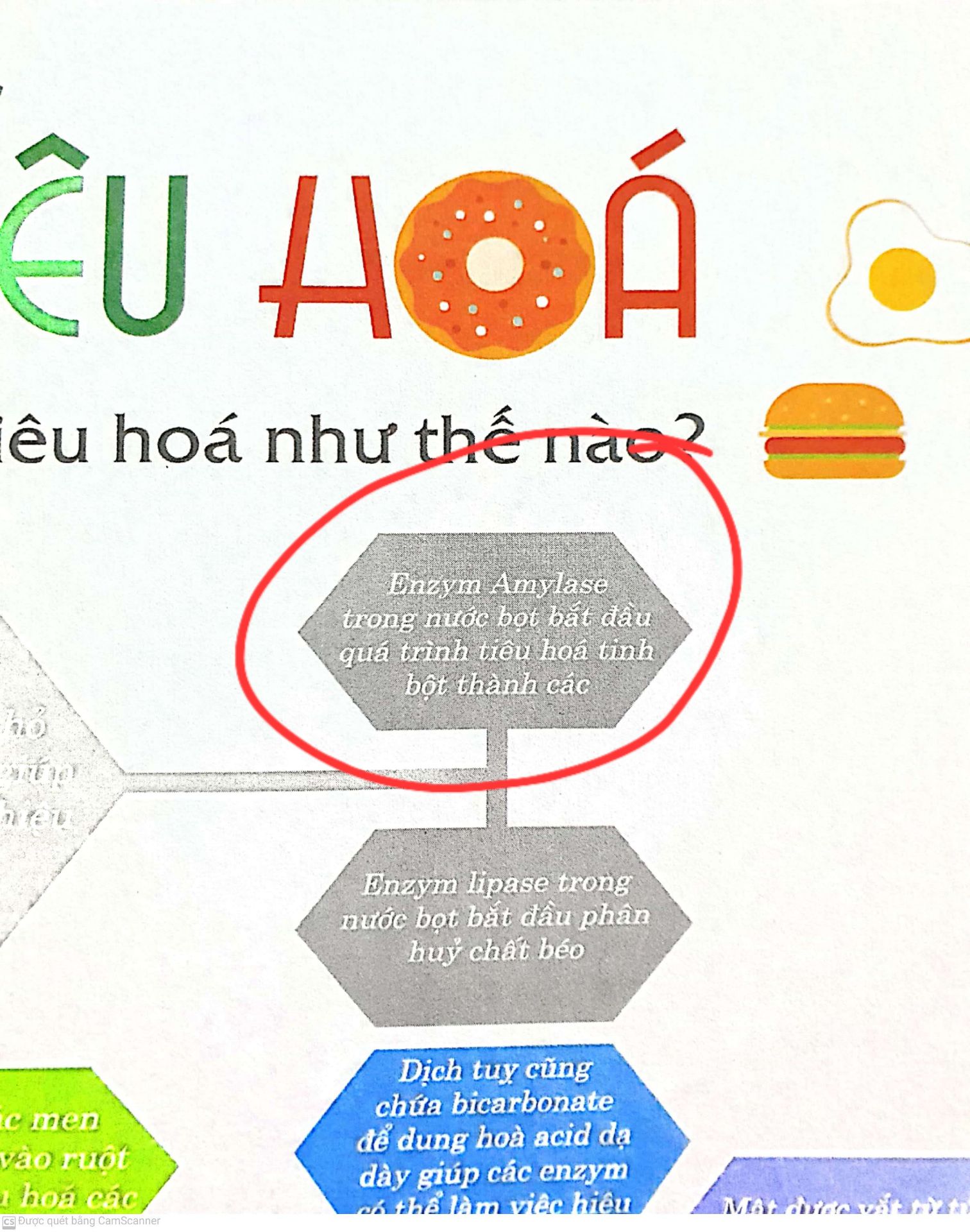 Tiki giao hàng nhanh, sách đẹp, ko bị cong vênh hay gấp mép. Thứ mình không hài lòng là về nội dung sách. Trang 21 xuất hiện một câu văn tối nghĩa không hoàn chỉnh, đọc rất khó chịu. Thêm nữa màu chữ và màu nền kết hợp không hợp lí nên khó đọc. Tiki giao hàng nhanh, sách đẹp, ko bị cong vênh hay gấp mép. Thứ mình không hài lòng là về nội dung sách. Trang 21 xuất hiện một câu văn tối nghĩa không hoàn chỉnh, đọc rất khó chịu. Thêm nữa màu chữ và màu nền kết hợp không hợp lí nên khó đọc.