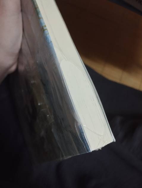 Lần thứ 2 mua tại shop nhưng chắc do mình đặt giao trong 2h nên là shop hơi vội. Bìa áo mềm ngoài thì như hình bị móp ở trên một chút, lớp bọc cũng bị rách. Nhưng may là bên trong vẫn ổn, sản phẩm đầy đủ sẽ còn ghép shop.