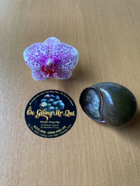 Hàng tốt, đóng gói nhanh, cẩn thận