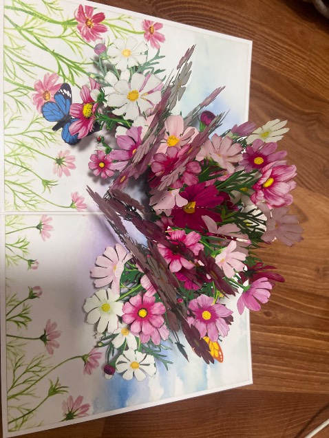 Thiệp đẹp, giá ok. Tiki giao nhanh