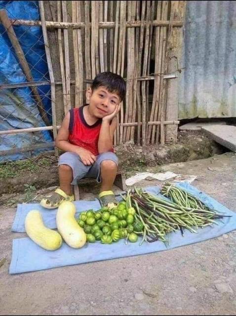 Đóng gói kĩ càng, sách mới và có túi bóng kính bọc lại rất sạch sẽ. 3CD đi kèm cũng đầy đủ luôn ạ. Cảm ơn shop rất nhiều. Đặt trung vào đợt dịch của Saigon nên mình đặt từ 19/7 mà tới hôm nay 5/8 mới nhận được. Hình ảnh chèn vào cho có thôi ạ