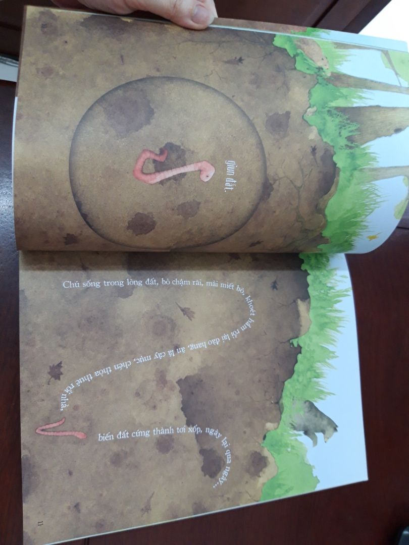 sách in khổ lớn, đẹp, tiki đóng gói hàng cẩn thận