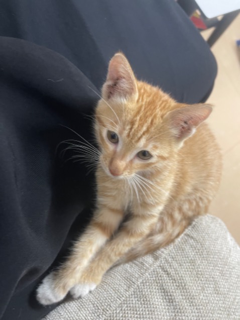 Giao hàng nhanh, chị ship thân thiện đáng yêu. 
Shop đóng hàng đẹp, cẩn thận. Sách không bị gãy hay sao cả. Tuyệt zời. Lười chụp ảnh quá.