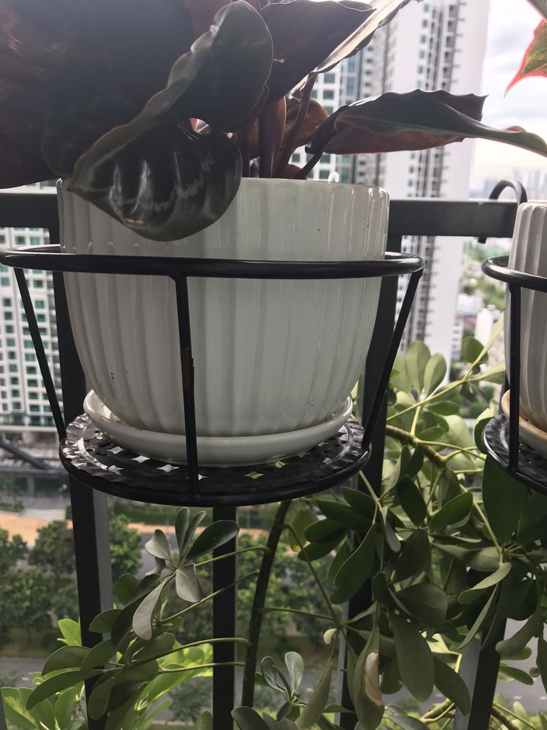 Sản phẩm đúng như mô tả, đóng gói cẩn thận, do thanh lang cang hơi dày nên mình phải bẻ móc ngx của giỏ ra chút thì mới vừa