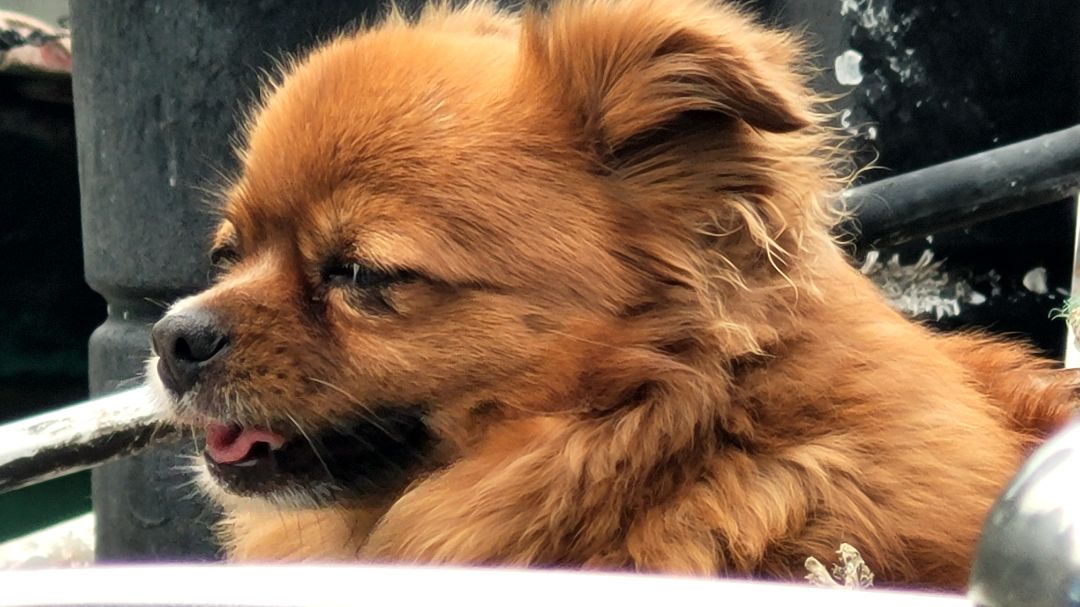 Sản phẩm tốt chính hãng