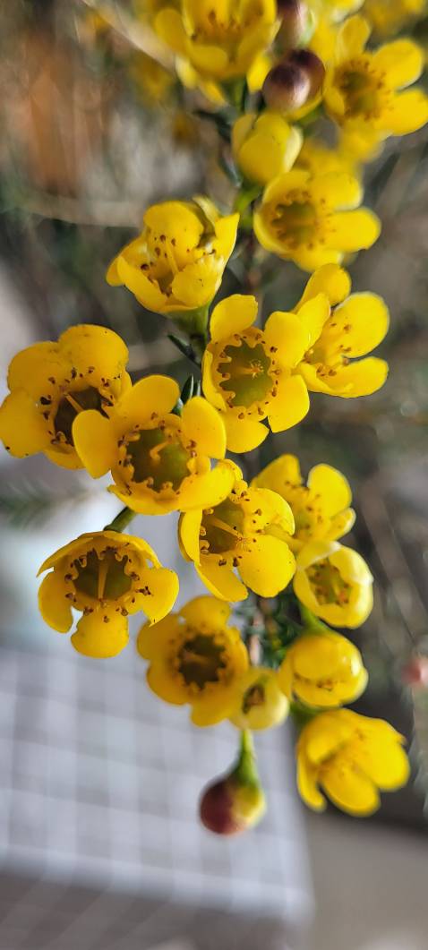 An toàn, chônhs giật, chịu nhiệt tốt, gọn nhẹ, đẹp mắt, giao hàng nhanh.