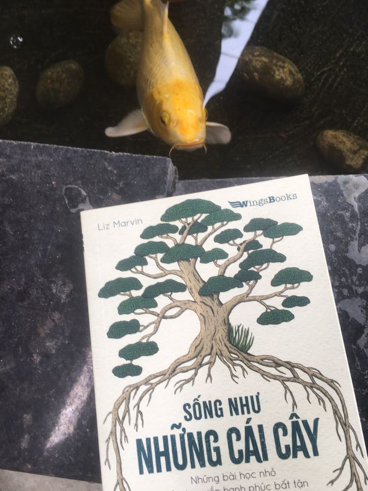 Cuốn sách truyền tải những bài học chiêm nghiệm được và nên học hỏi từ những cái cây. Thích hợp bắt đầu một ngày mới bằng một random *** thật nhẹ nhàng. Hay sau khi "nhồi nhét" những cuốn nhiều thông tin, đọc cuốn này như một khoảng nghỉ.