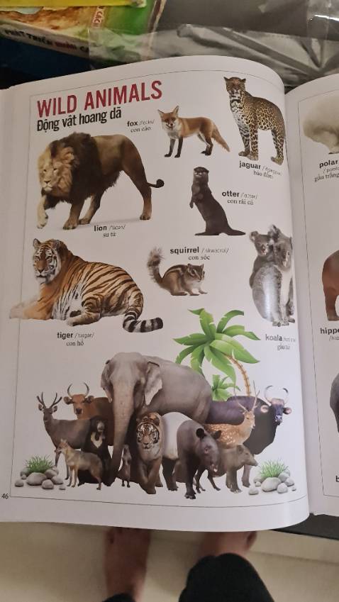 Sách đẹp, giá rẻ. Mn nên mua