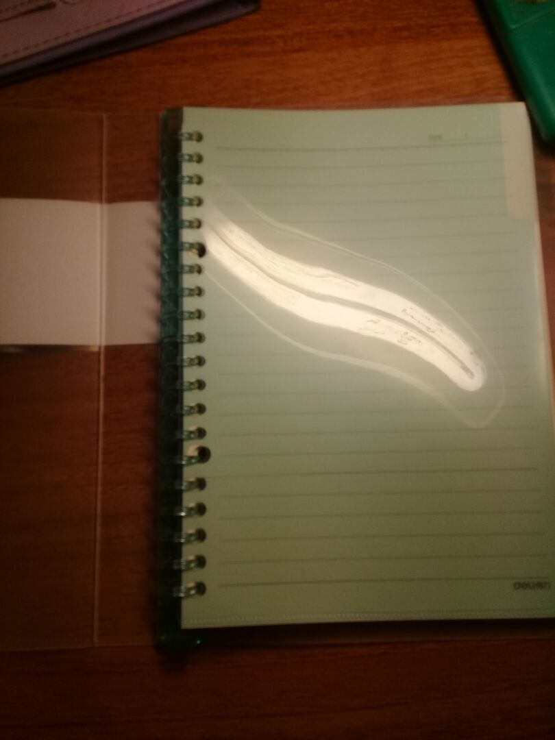 sản phẩm dống hình,đẹp