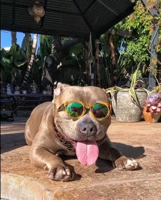 Nhà toàn người già mua về nhà dùng rắt tiện đỡ phải cui xuống lấy nước shop giao nhanh đóng gói đep