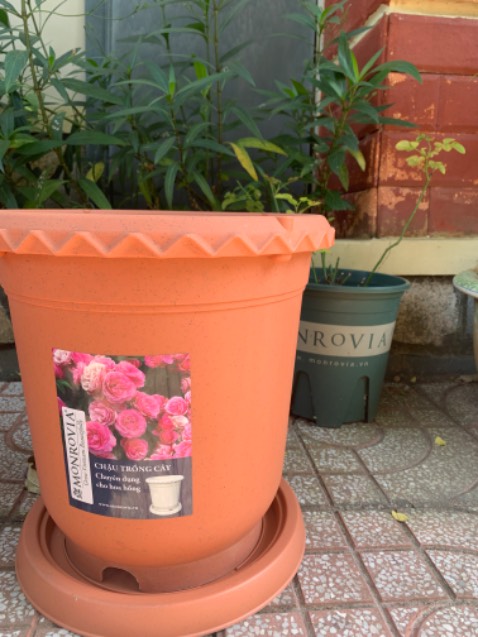 Tiki giao hành nhanh, hơn 3 tiếng là giao tới rồi. Chậu thì đẹp, chắc chắn, cầm nhẹ tay. Trên miệng chậu còn lỗ cắm khung leo cho mấy hoa hồng leo nhà mình, đỡ phải cắm xuống đất. 10 điểmmmm cho shop