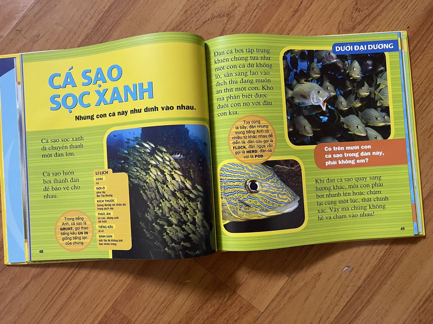 Sách đẹp, nội dung hay.