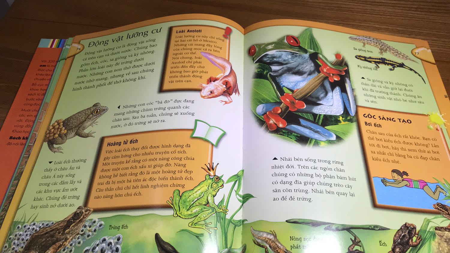 Tiki giao hàng nhanh. 
Quyển Bách Khoa này bao gồm về động vật, trái đất, không gian, cơ thể...
Sách cũng khá dày, bổ ích và thú vị. Rất hài lòng