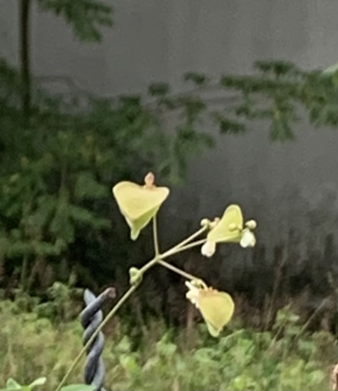 Sách đẹp, nội dung dễ thương