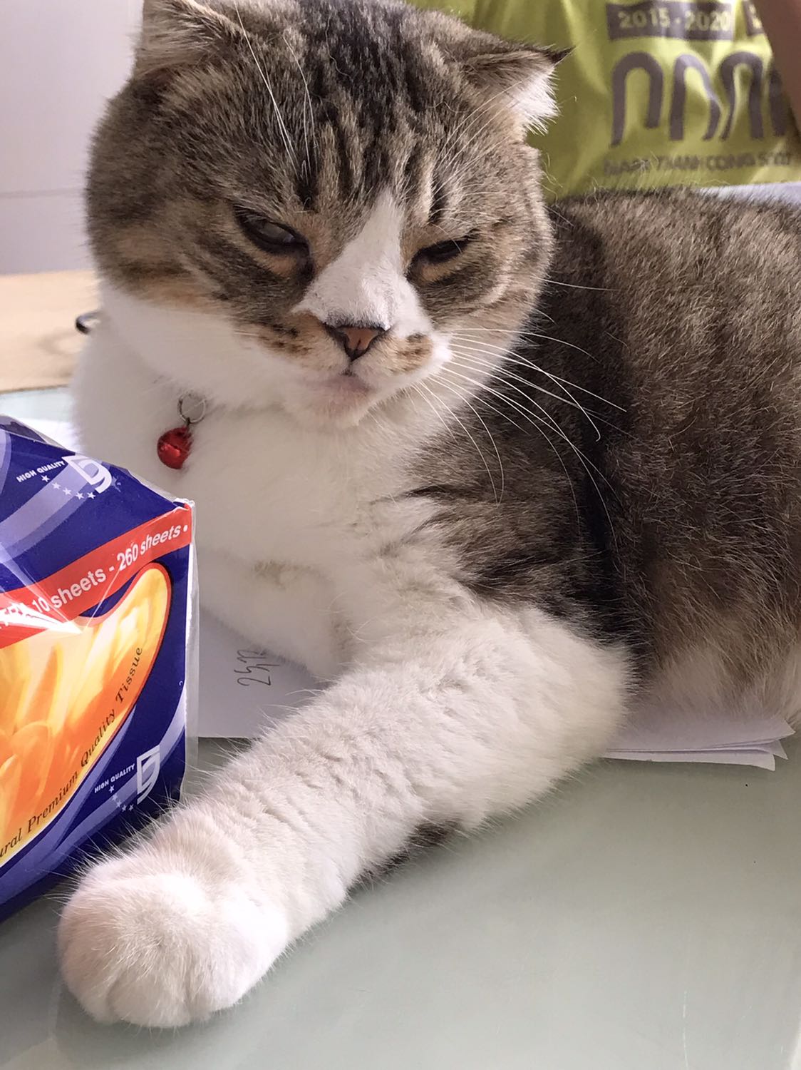 Thích bánh Hura của Bibica nhưng phân phối phía bắc còn ít quá!
Tiki giao hàng tốt