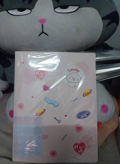 Hàng y mẫu, nguyên seal, mẫu cute, màu xinh, tiếc là màu mẫu này file 40 lá hết nên mình chỉ đặt đc file 30 lá.. shop đóng gói chu đáo, bọc chống sốc cẩn thận, giao hàng nhanh, vote 5 sao