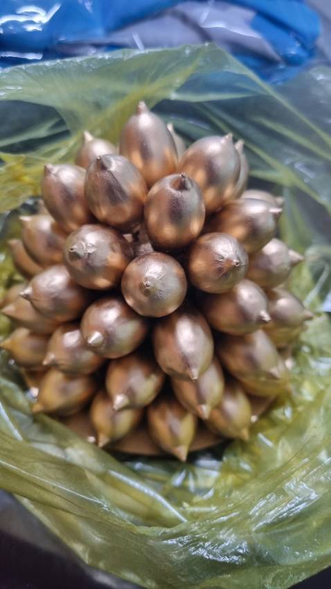 Giày đẹp, OK lắm. Nhưng size hơi rộng hơn bt. Các bạn đặt hàng nhỏ hơn giày thường mang 1 size nhe.