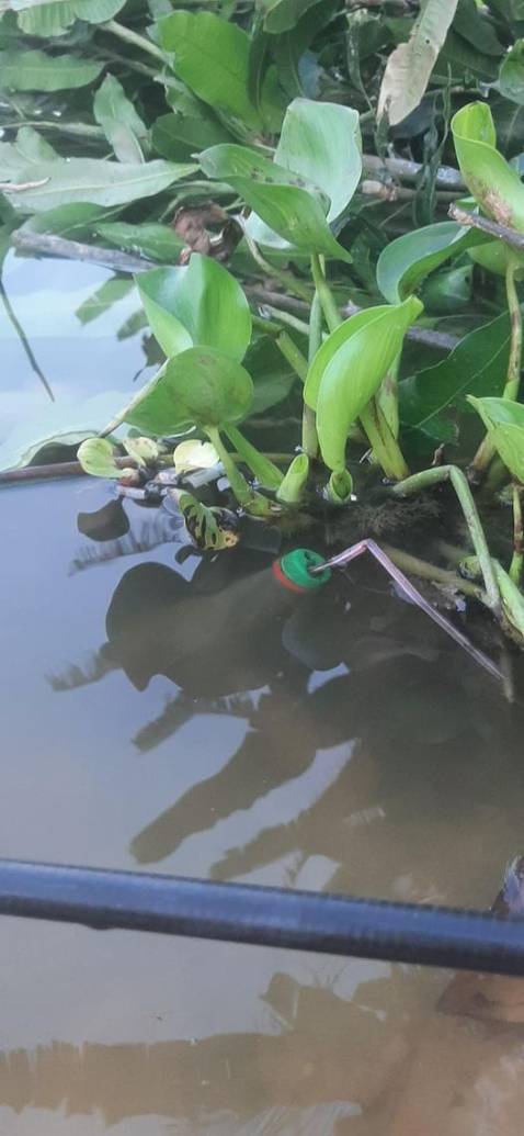 Đã nhận được sản phẩm chưa *** thử nhưng đầy đủ phụ kiện cần hơi dẻo thôi để câu cá rô sẽ ủng hộ shop trong lần mua tới