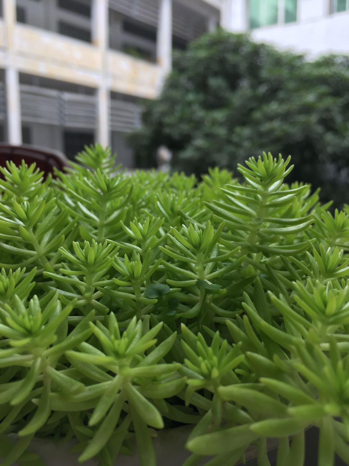 Thực sự rất tốt hàng chính hãng Thực sự rất tốt hàng chính hãng Thực sự rất tốt hàng chính hãng