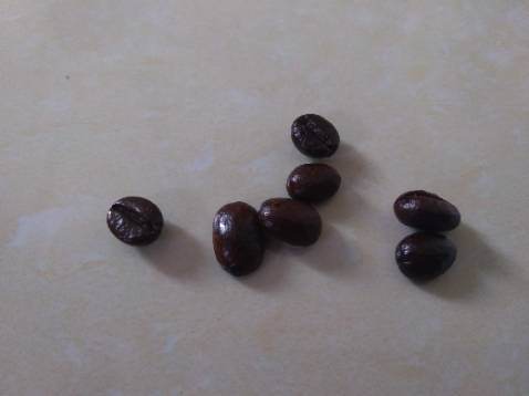 Đang trong mùa dịch nên giao hàng có lâu một chút xíu. Thông cảm được. Về chất lượng sản phẩm thì khỏi chê. Hương cà phê lần đầu tỏa ra từ trong túi nồng nàn làm mình không cưỡng lại được. Dùng pha phin hay pha brew cũng được. Đang trong mùa dịch nên giao hàng có lâu một chút xíu. Thông cảm được. Về chất lượng sản phẩm thì khỏi chê. Hương cà phê lần đầu tỏa ra từ trong túi nồng nàn làm mình không cưỡng lại được. Dùng pha phin hay pha brew cũng được.