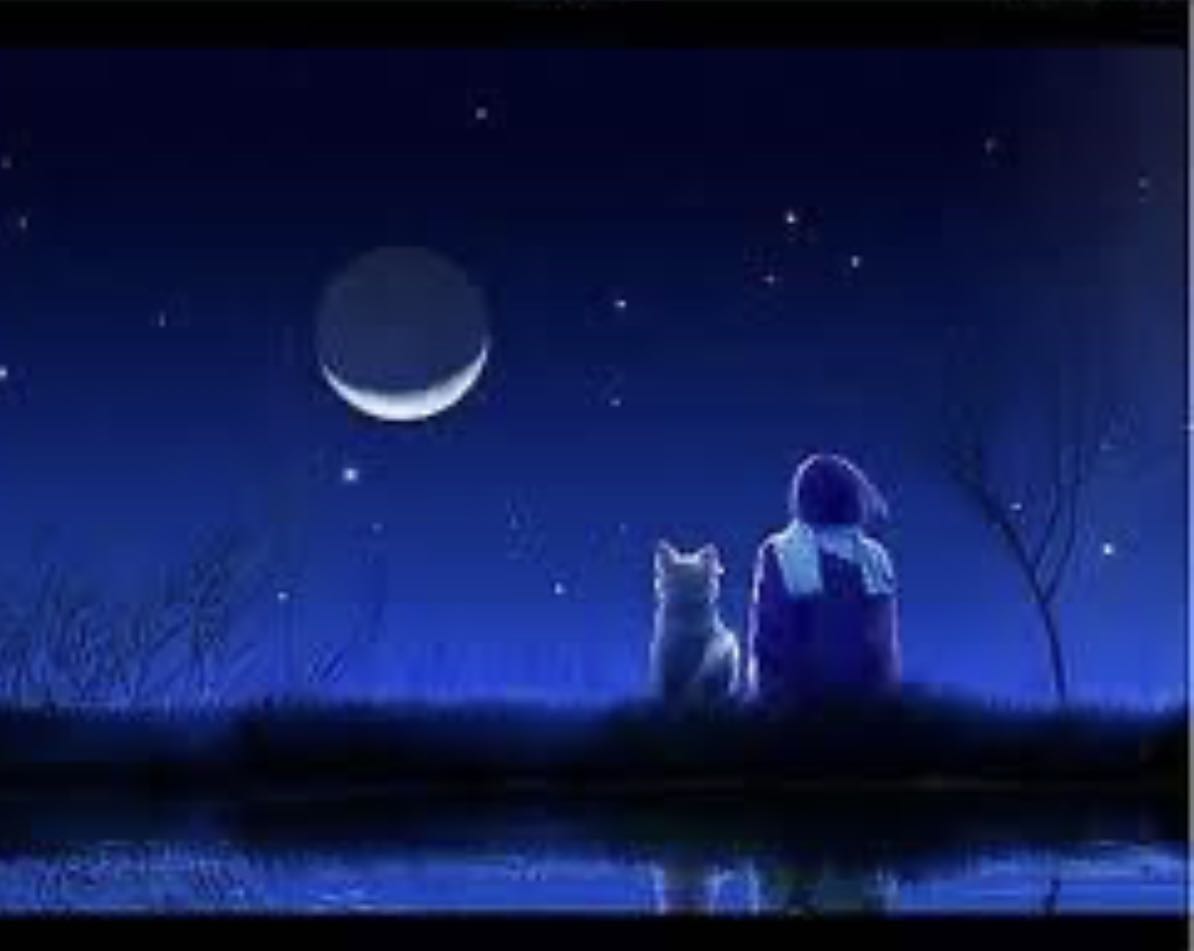 Đóng gói cẩn thận , chắc chắn, nhìn tổng thể thì rất OK nhưng có 2 điểm không ưng cho lắm.
Đầu tiên là cho cái lục giác để vặn thì kèm theo cho có vì mới vặn có một con đã tuông răn nếu ai ko có loại chuyên dụng thì coi như khỏi ráp. Đã kèm theo lục giác thì làm ơn cho nó chất lượng chút có thể tính tiền thêm chứ cho mà ko dùng dc cũng như không.
Thứ 2 là điểm trừ lớn nhất do sản phẩm nói là gỗ nhưng thanh đứng không phải là nguyên cây mà là bị chấp vá ( chỗ nối giữa các tầng) mỗi khúc khoảng 40cm nối lại tạo thành kệ làm cho sản phẩm có vẻ nhưng ko cứng cáp lắm. 
Nói chung mọi thứ đều OK với tầm giá.