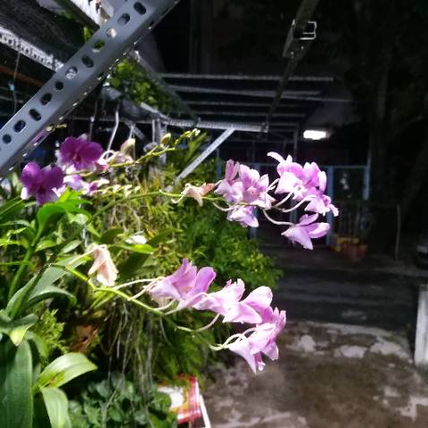 Ok.....................................