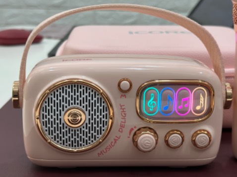 Loa rất đẹp. Hoàn thiện khá tốt, cả loa và 2 micro  rất chắc chắn và nặng tay. Kèm túi da đựng sản phẩm quá ưng. Âm thanh hay cho một chiếc loa mini.