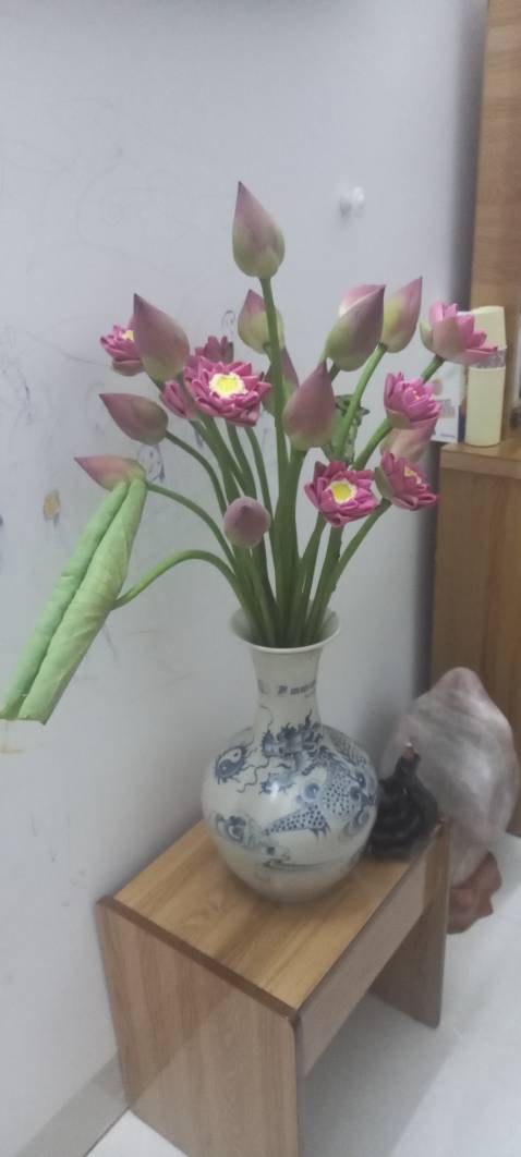 Rất ok (hình ảnh ko liên quan đến sản phẩm :) )