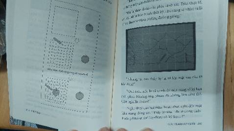 Không có nhiều điểm mới lạ trong bức tranh kỳ quái.  Nội dung cách thể hiện của nó không khác với Ngôi nhà kỳ quái. Suy diễn về chuỗi các án mạng sự gán ghép với các bức tranh hoàn toàn ngô nghê khiên cưỡng. Vẫn là một “thứ” chỉ để đọc giải trí.