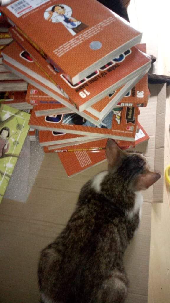 giao hàng tốt, nhà bán gói hàng kĩ, sách còn nguyên vẹn, truyện ehon thiếu nhi nhẹ nhàng nhân văn, hay