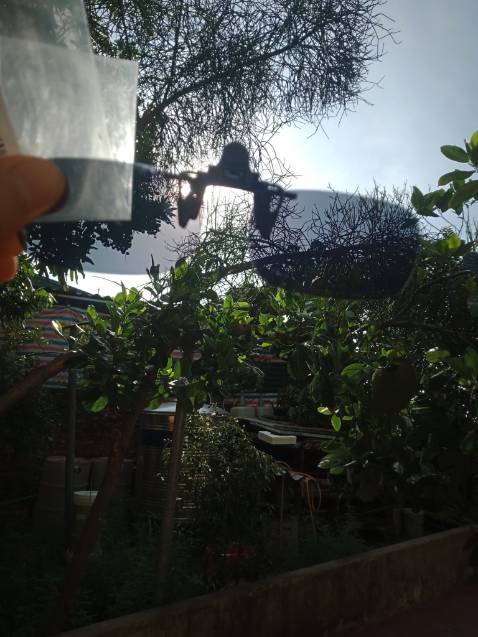 *** ngay giữa trời nắng thấy hải lòng , chất lượng ổn so với tầm giá, tuy nhiên dịch dã hay sao mà giao hàng lâu quá, đợi mỏi cả cổ. Shipper thì bắt ra tận xa để lấy, mất công xin xỏ chốt kiểm soát, chả  lẽ shipper lại không được giao hàng sao ạ ?