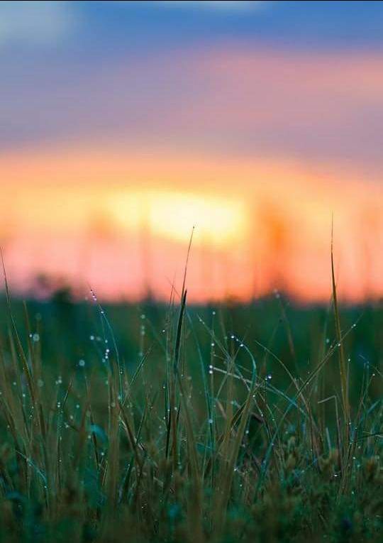 Đang dùng.chưa biết thế nào cho tạm 4 sao nhé