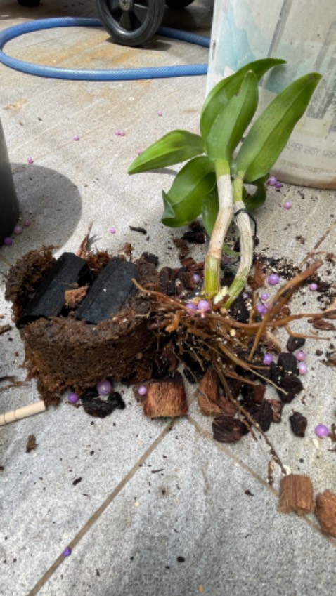 Mua 4 cục chết 1 cục. Gọi điện nhắn tin hỏi nguyên nhân chỉ trả lời là pin để lâu nó hết phải kích. Người tiêu dùng biết kích ntn mới sợ