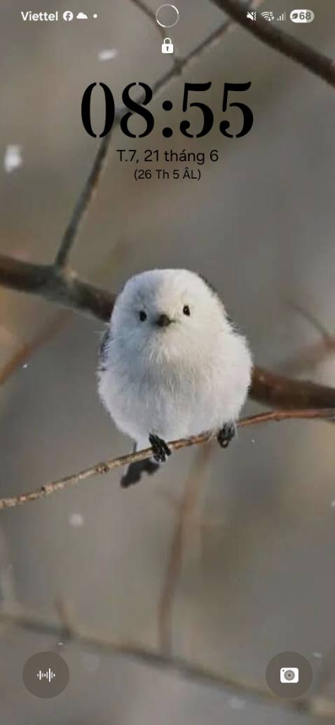 Truyên hay và cuốn, hài hước từ lời mở đầu trở đi.
 Sách đóng túi bóng kín mít, sạch đẹp. Nhưng với mục tiêu giảm phát thải toàn cầu thì có nhẽ không cần bọc túi bóng. Sạch sẽ, khô ráo và không bị rách là được