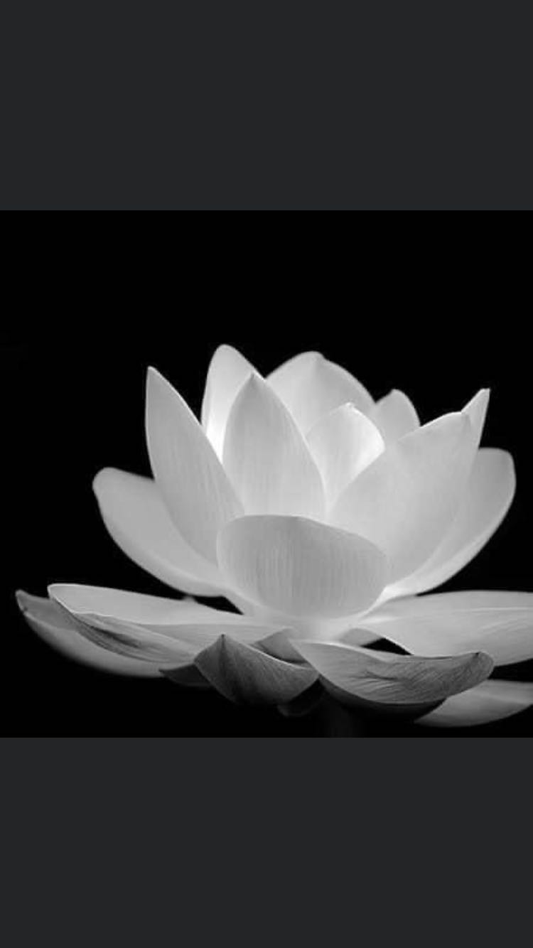 Tiện lợi, thích sử dụng.