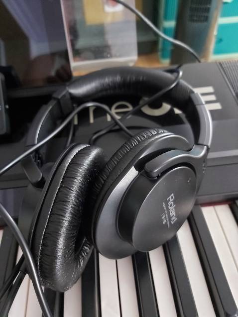 Nghe xịn, mịn, tơi tiếng, bass sâu, dày, bông, tách RL ổn, âm vừa, nghe đc lâu, bớt mệt tai, nếu hàng sịn của Rolard chất cao hơn nữa, loại này mới là TQ