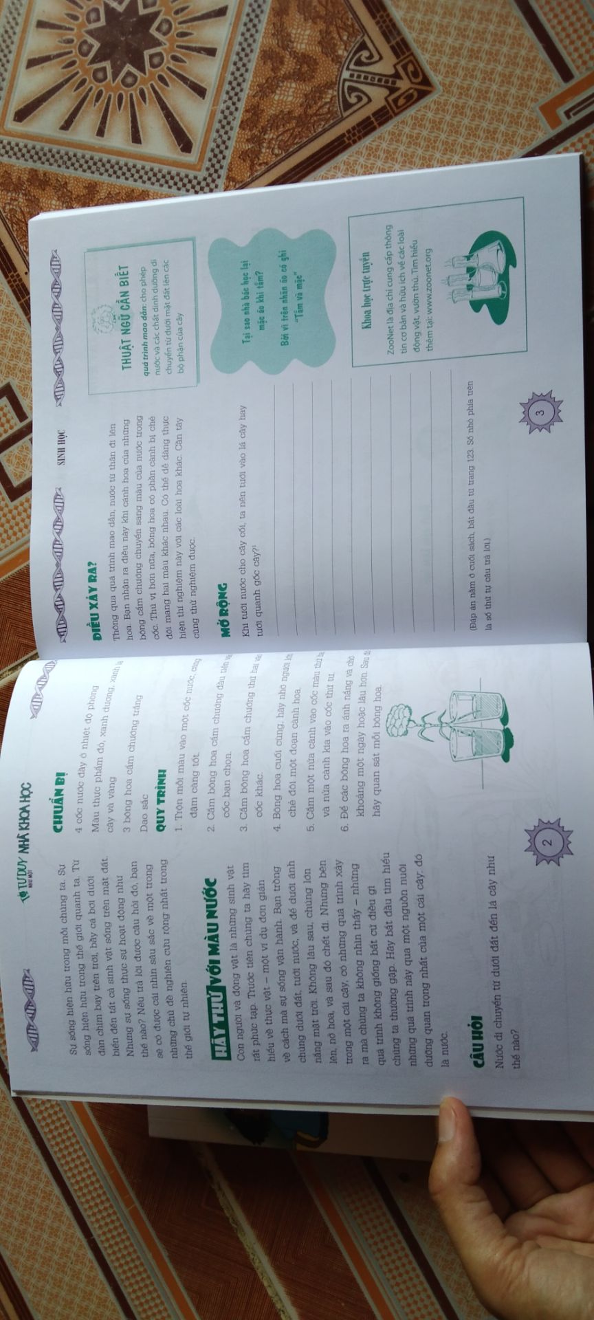 Vận chuyển nhanh, chất lượng tốt