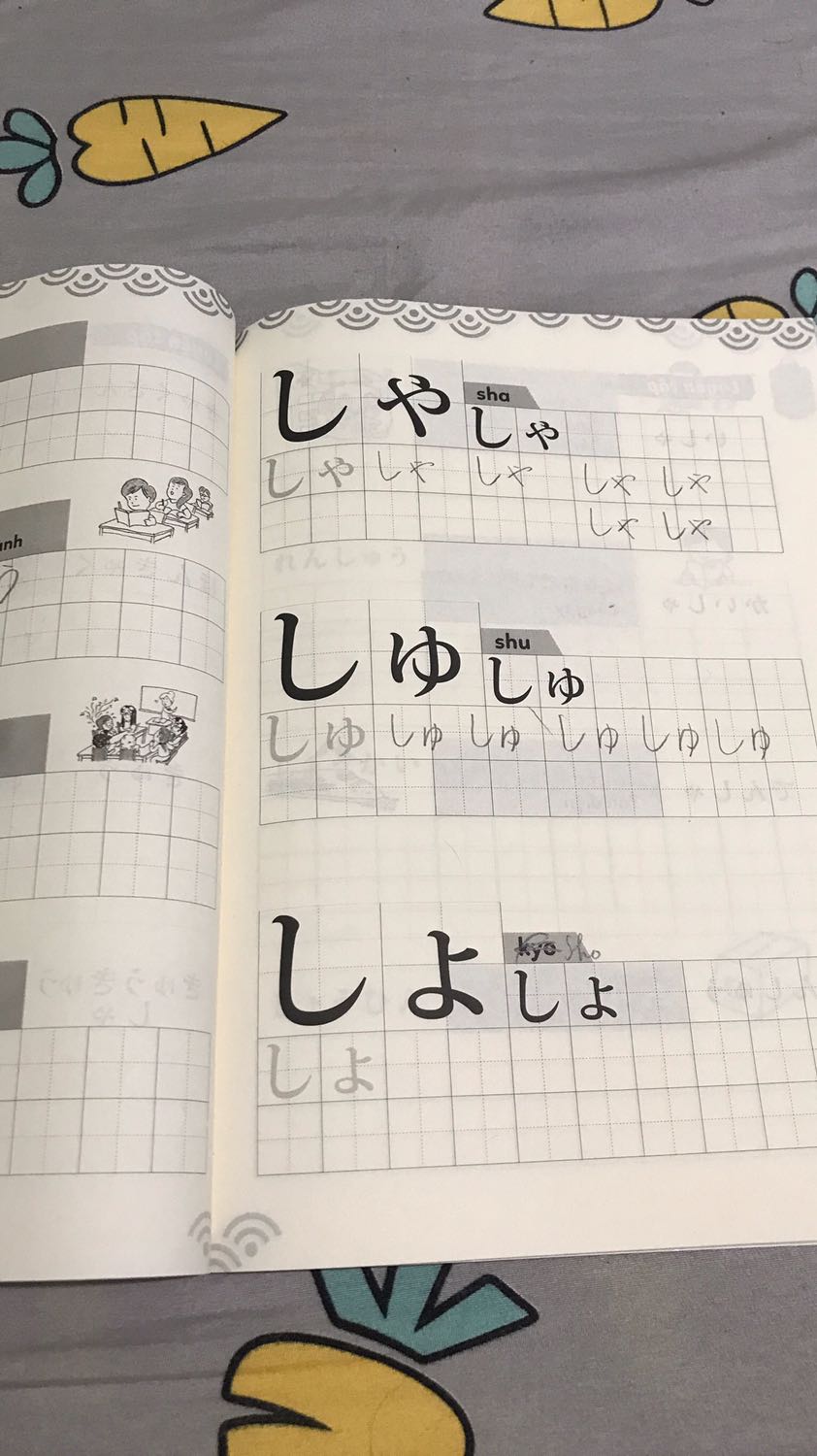 Sách khá hay có nhiều chỗ tập viết và ví dụ; nhiều từ vựng;
Nhưng vài chữ có phiên âm romaji nhầm đôi chút; 
Hiện tại gần hết sách là thấy 2 lỗi như hình là phiên âm nhầm chút; đây là lỗi biên tập chứ không phải sai!
