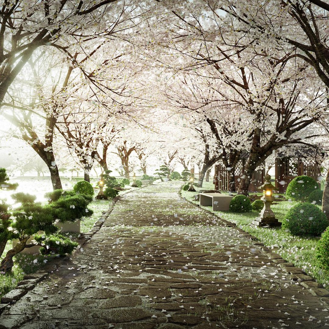 chưa được đùng ,vì ny đi cách ly .tiện đây bác nào muốn mua nhà ,thuê nhà Ecopark cách hồ Gươm 14km thì để *** dưới em tư vấn 😔