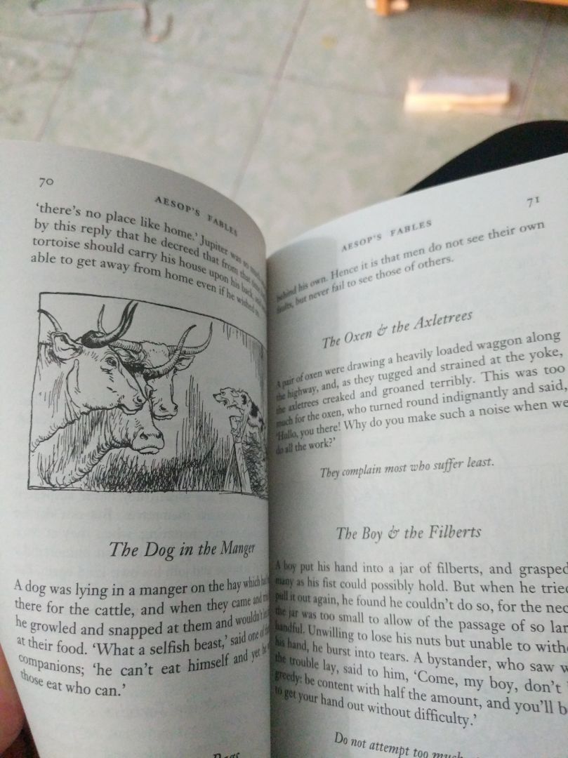 hàng giống mô tả....