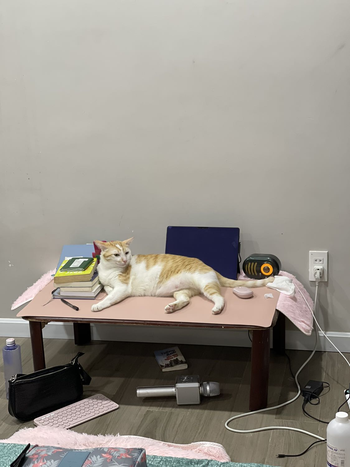 Đầu tiên phải nói là nhận hàng tiki rất thích , giao chưa tới 2h mà gói hàng cẩn thận giao tới nơi phải nói là siêu thích luôn . Tấm lót rất đẹp :)