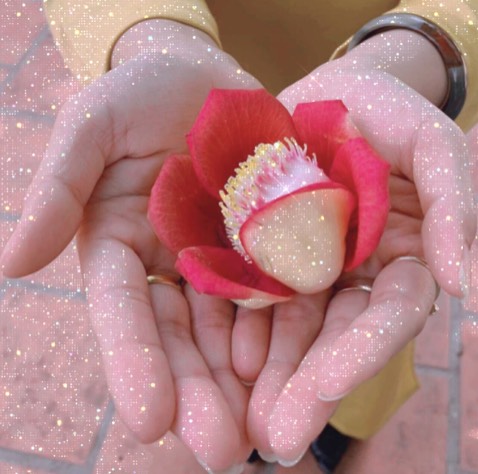 Đóng gói cẩn thận sp nhìn đẹp nhung minh chua dung nen chua bit co hợp với da ko