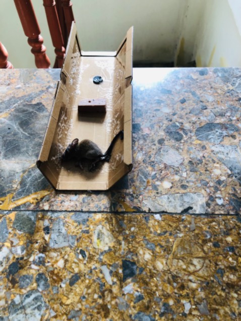 Rất tốt & hiệu quả!