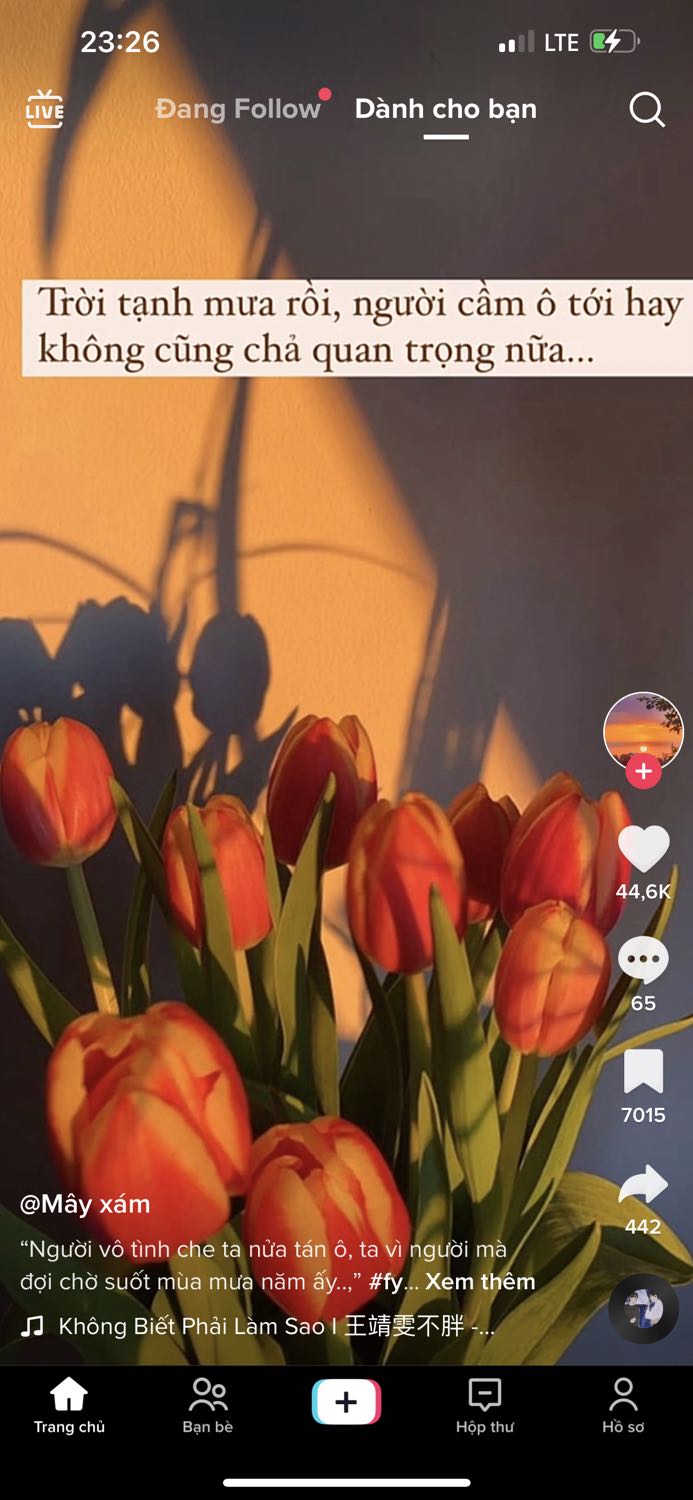 Mỗi một hình ảnh, một dòng tin nhắn feedback cho dù xinh đẹp hay không, dù tiêu cực hay tích cực,  luôn sẵn sàng ghi nhận tất cả. Vì  Feedback từ các nàng chính là động lực và sự tin tưởng mà nhận được.