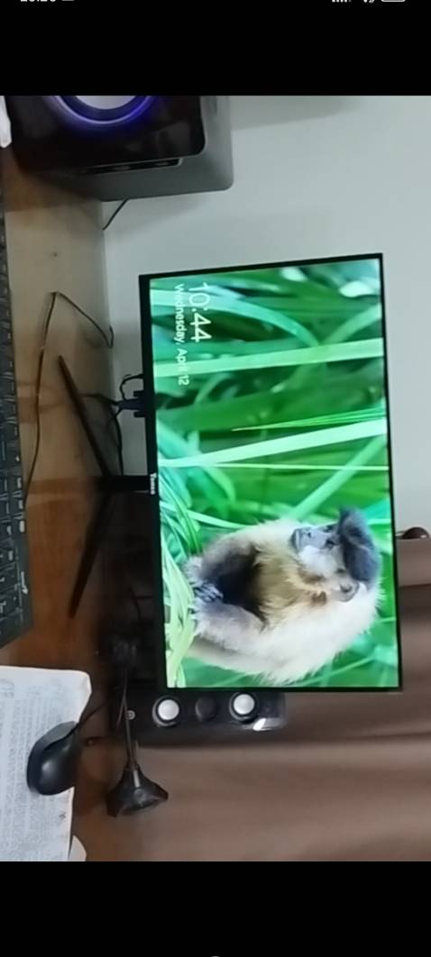 OK ổn! với tầm giá này thì không thể mong đợi gì hơn nữa