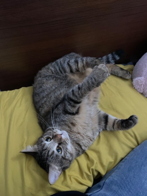 Ok nhé, đã mua lần 2 Ok nhé, đã mua lần 2