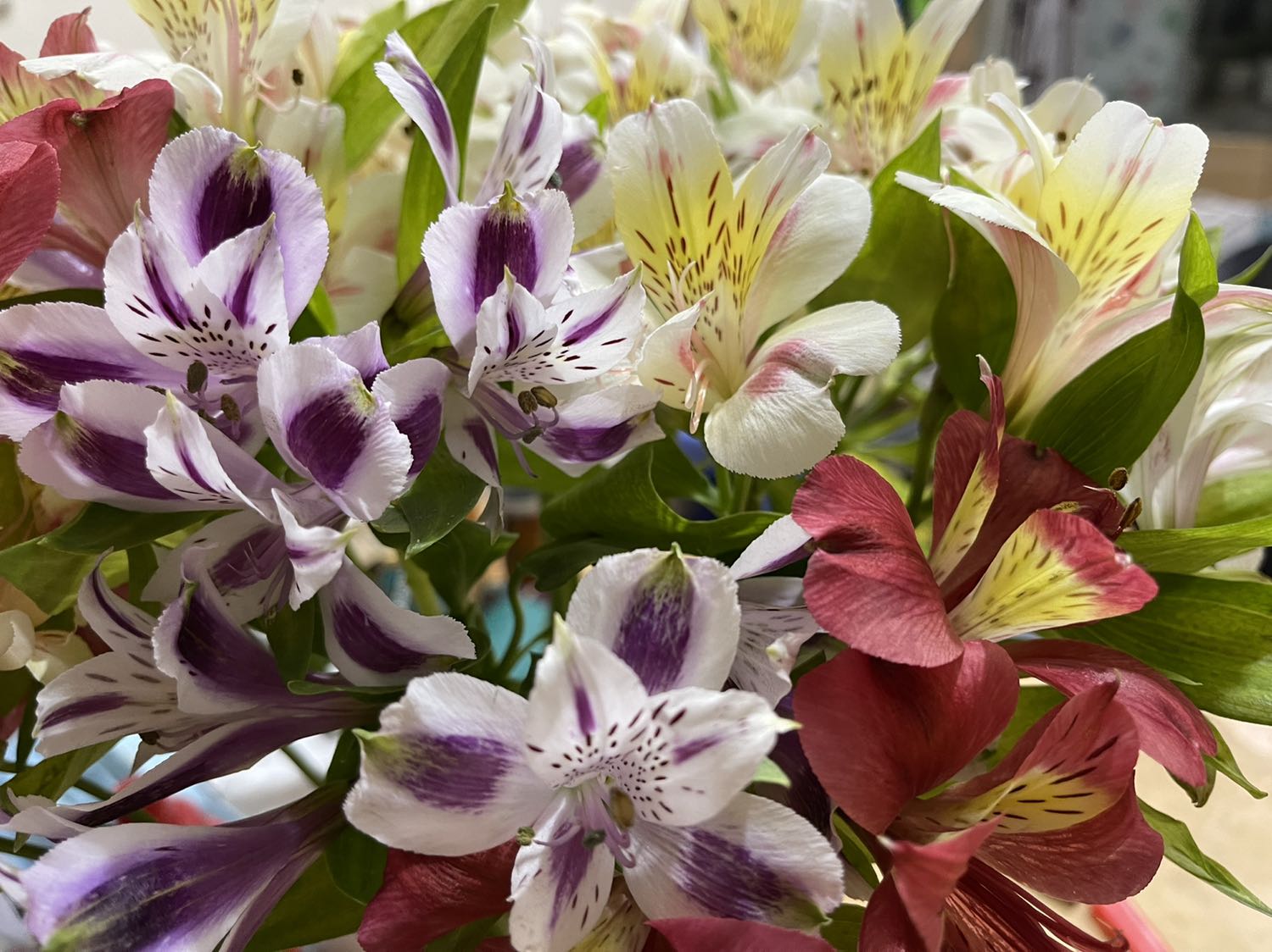 Biết rồi, khổ lắm cứ bắt đánh giá mãi Biết rồi, khổ lắm cứ bắt đánh giá mãi