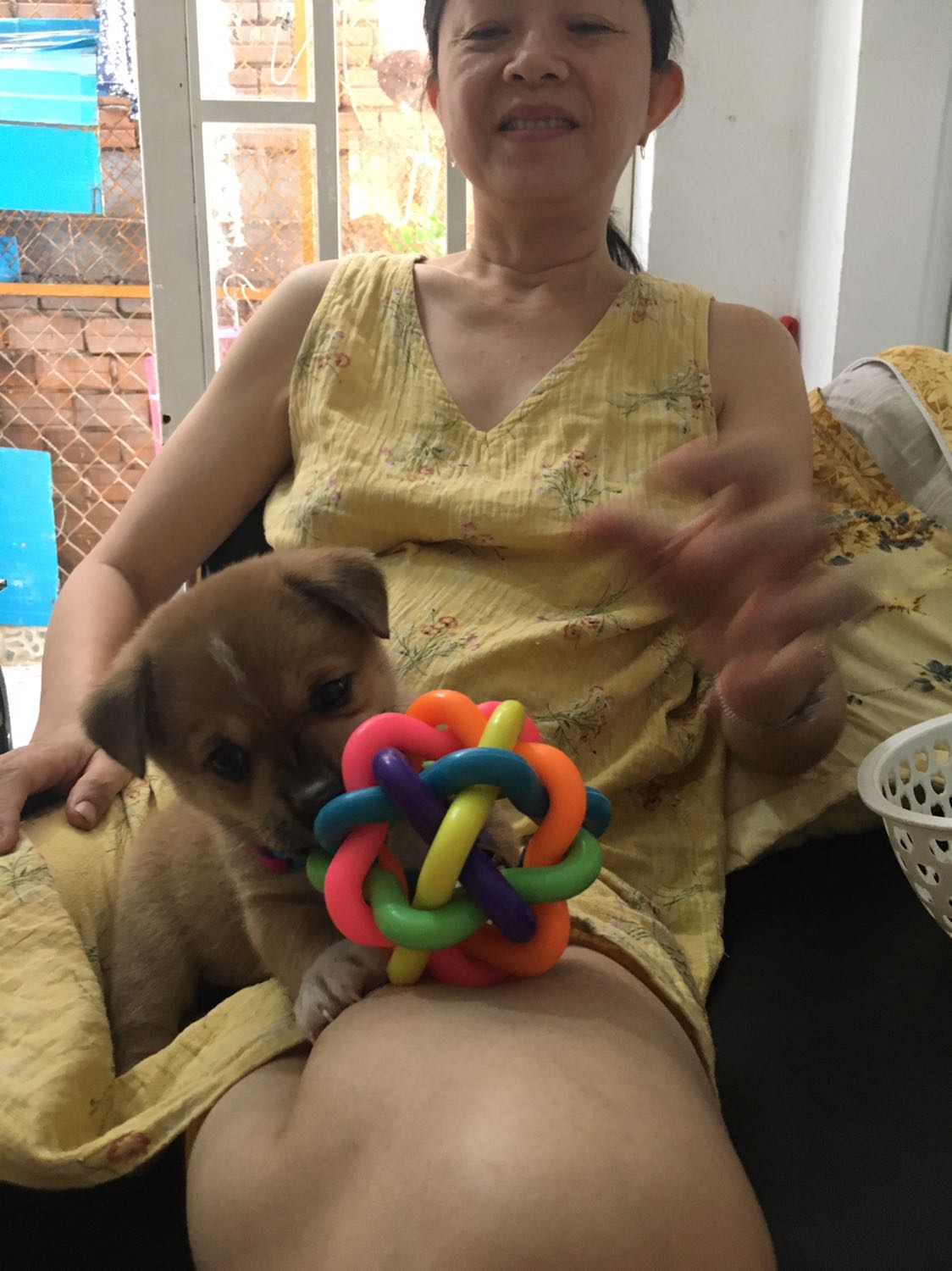 Banh rất đẹp mà chuông nghe hơi nhỏ phải bỏ hạt vào mới nghe, tiếc là  Bé nhà mình không thích chơi banh lắm, thích thú bông hơn chỉ khi nào mình chơi chung bé mới chơi thôi :)))